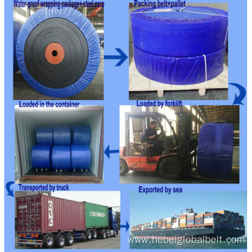 waterproof carrier plastic PE roller belt conveyor idler